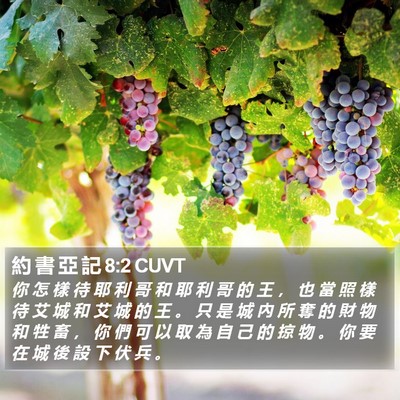 約 書 亞 記 8:2 CUVT Bible Verse Image