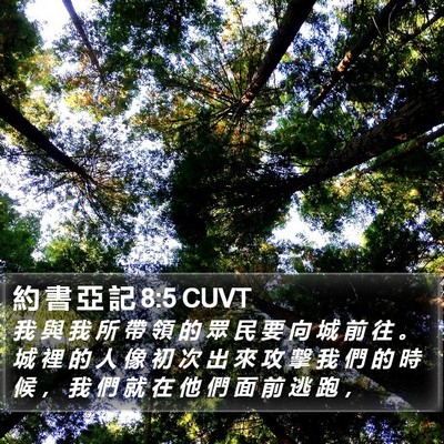 約 書 亞 記 8:5 CUVT Bible Verse Image