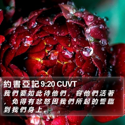 約 書 亞 記 9:20 CUVT Bible Verse Image