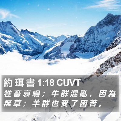 約 珥 書 1:18 CUVT Bible Verse Image