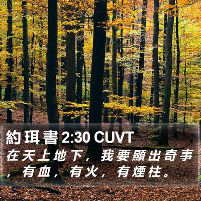 約 珥 書 2:30 CUVT Bible Verse Image