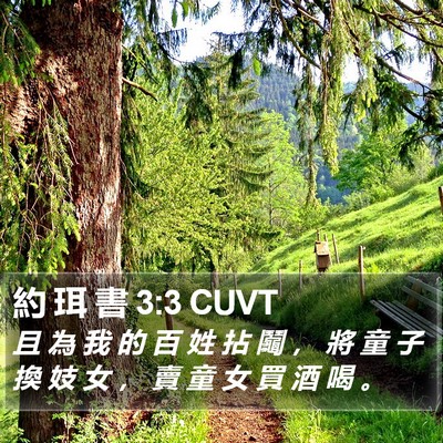 約 珥 書 3:3 CUVT Bible Verse Image