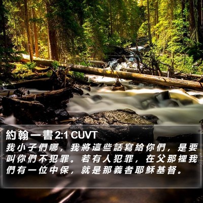 約 翰 一 書 2:1 CUVT Bible Verse Image