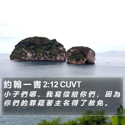 約 翰 一 書 2:12 CUVT Bible Verse Image