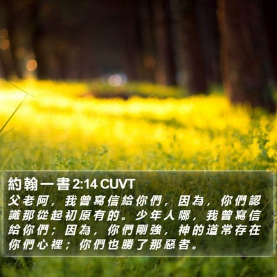 約 翰 一 書 2:14 CUVT Bible Verse Image