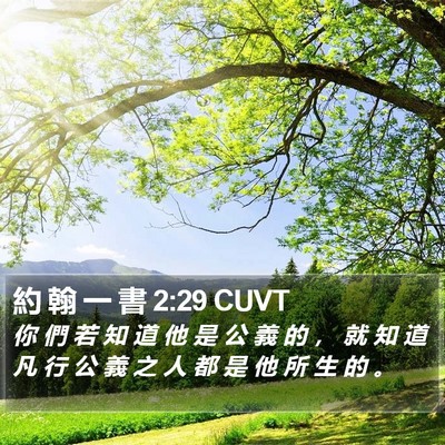 約 翰 一 書 2:29 CUVT Bible Verse Image