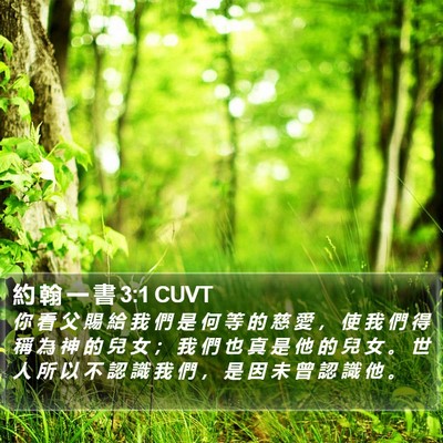約 翰 一 書 3:1 CUVT Bible Verse Image