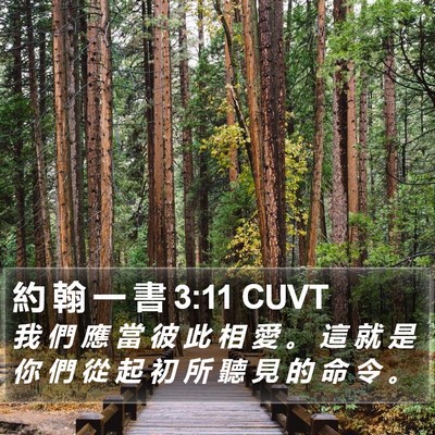 約 翰 一 書 3:11 CUVT Bible Verse Image