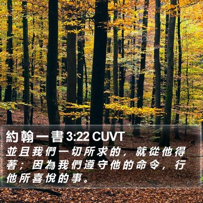 約 翰 一 書 3:22 CUVT Bible Verse Image