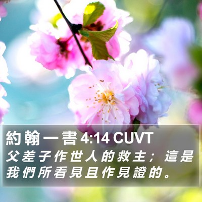 約 翰 一 書 4:14 CUVT Bible Verse Image