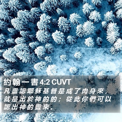 約 翰 一 書 4:2 CUVT Bible Verse Image