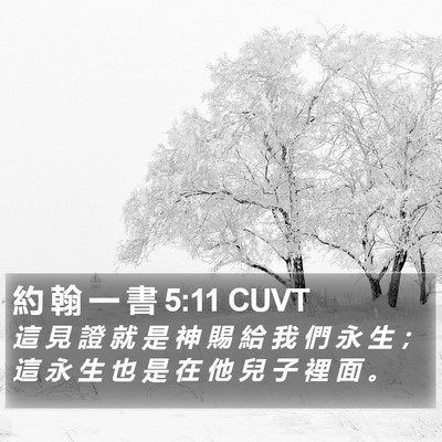 約 翰 一 書 5:11 CUVT Bible Verse Image