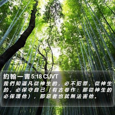 約 翰 一 書 5:18 CUVT Bible Verse Image