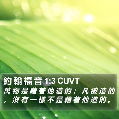 約 翰 福 音 1:3 CUVT Bible Verse Image