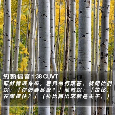 約 翰 福 音 1:38 CUVT Bible Verse Image