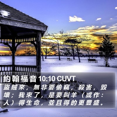 約 翰 福 音 10:10 CUVT Bible Verse Image