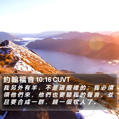 約 翰 福 音 10:16 CUVT Bible Verse Image