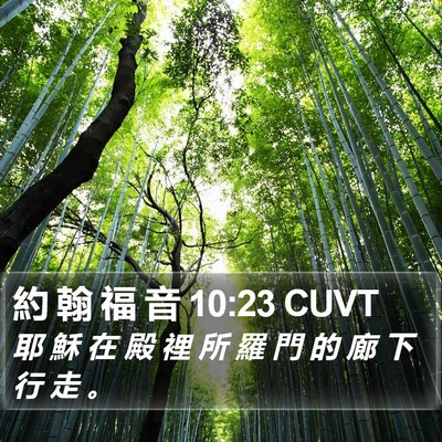 約 翰 福 音 10:23 CUVT Bible Verse Image