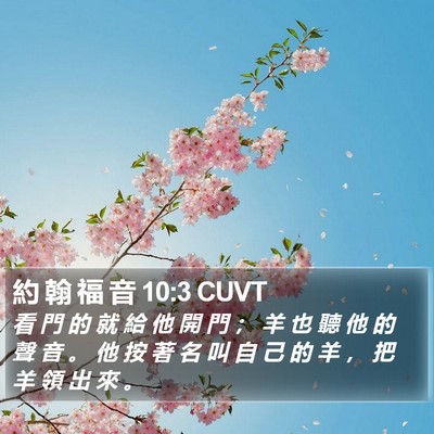 約 翰 福 音 10:3 CUVT Bible Verse Image