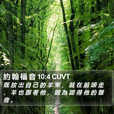 約 翰 福 音 10:4 CUVT Bible Verse Image