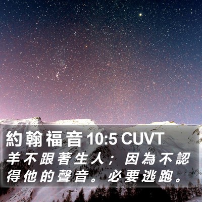 約 翰 福 音 10:5 CUVT Bible Verse Image