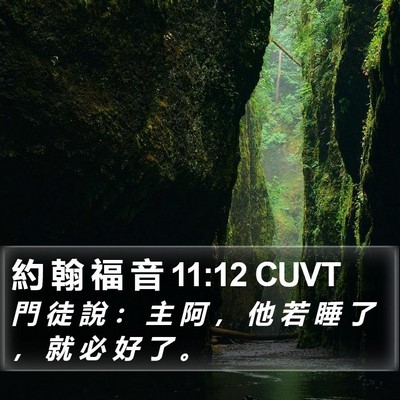 約 翰 福 音 11:12 CUVT Bible Verse Image