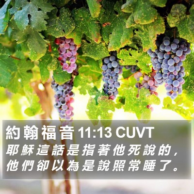 約 翰 福 音 11:13 CUVT Bible Verse Image
