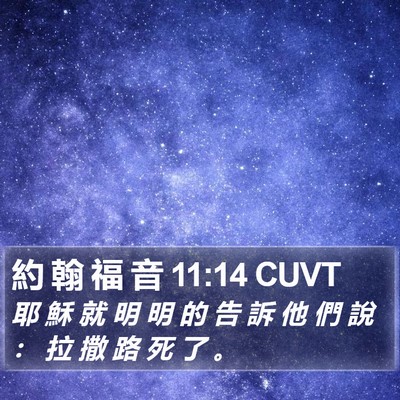 約 翰 福 音 11:14 CUVT Bible Verse Image