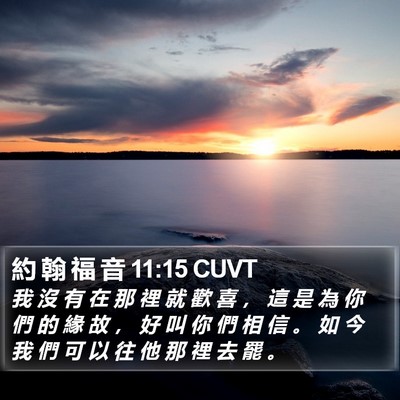 約 翰 福 音 11:15 CUVT Bible Verse Image