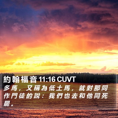 約 翰 福 音 11:16 CUVT Bible Verse Image
