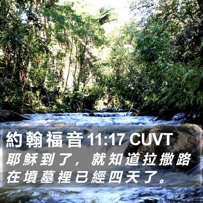 約 翰 福 音 11:17 CUVT Bible Verse Image