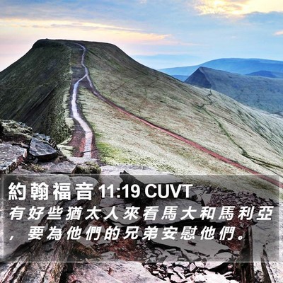 約 翰 福 音 11:19 CUVT Bible Verse Image