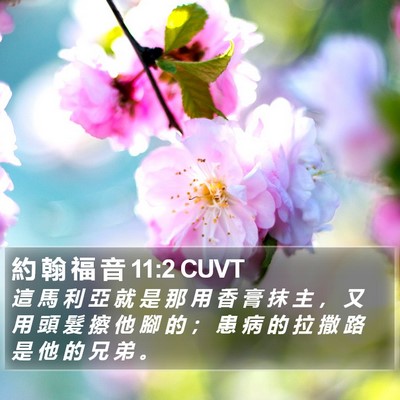 約 翰 福 音 11:2 CUVT Bible Verse Image