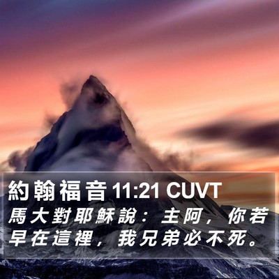 約 翰 福 音 11:21 CUVT Bible Verse Image