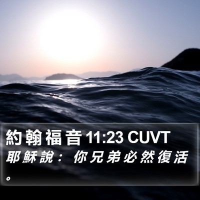 約 翰 福 音 11:23 CUVT Bible Verse Image