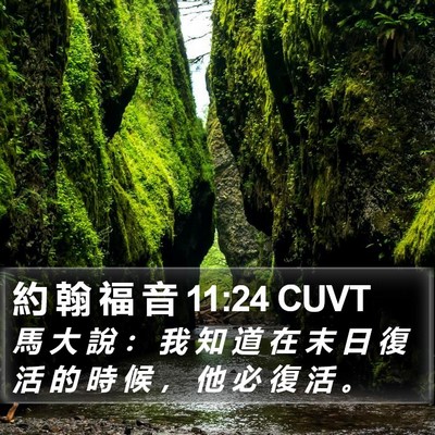 約 翰 福 音 11:24 CUVT Bible Verse Image