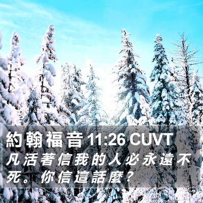 約 翰 福 音 11:26 CUVT Bible Verse Image