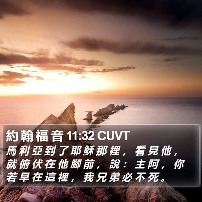 約 翰 福 音 11:32 CUVT Bible Verse Image
