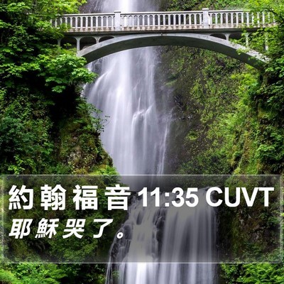 約 翰 福 音 11:35 CUVT Bible Verse Image