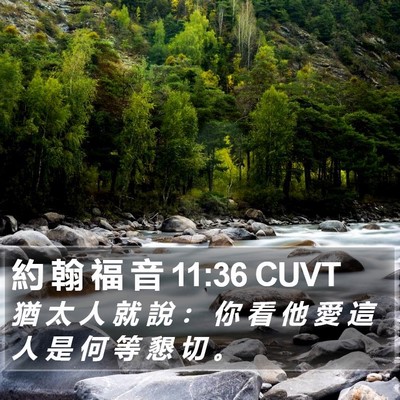 約 翰 福 音 11:36 CUVT Bible Verse Image
