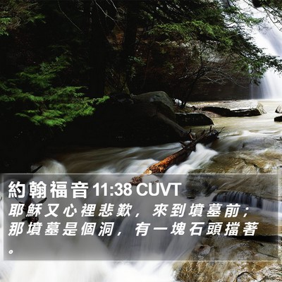 約 翰 福 音 11:38 CUVT Bible Verse Image