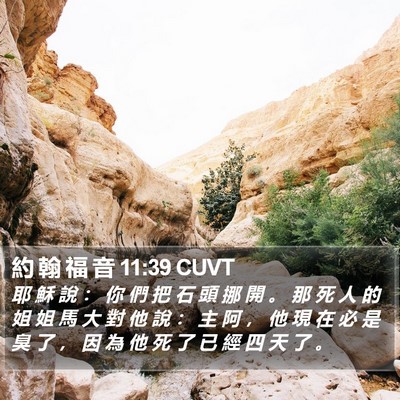 約 翰 福 音 11:39 CUVT Bible Verse Image