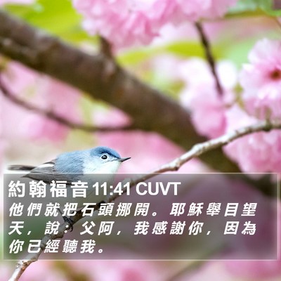 約 翰 福 音 11:41 CUVT Bible Verse Image
