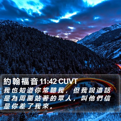 約 翰 福 音 11:42 CUVT Bible Verse Image