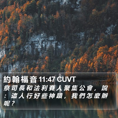 約 翰 福 音 11:47 CUVT Bible Verse Image
