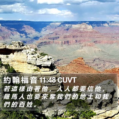 約 翰 福 音 11:48 CUVT Bible Verse Image