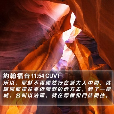 約 翰 福 音 11:54 CUVT Bible Verse Image