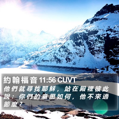 約 翰 福 音 11:56 CUVT Bible Verse Image