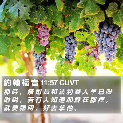 約 翰 福 音 11:57 CUVT Bible Verse Image