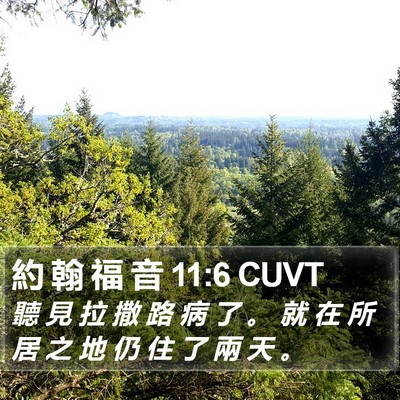 約 翰 福 音 11:6 CUVT Bible Verse Image